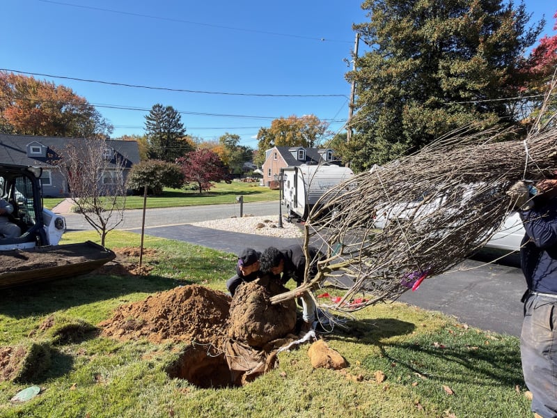 Front Yard Curb Appeal — Wilmington, DE