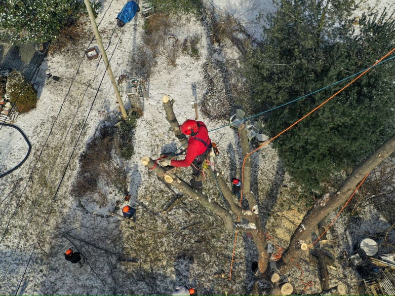 Blue Rock Tree Care crew and equipment