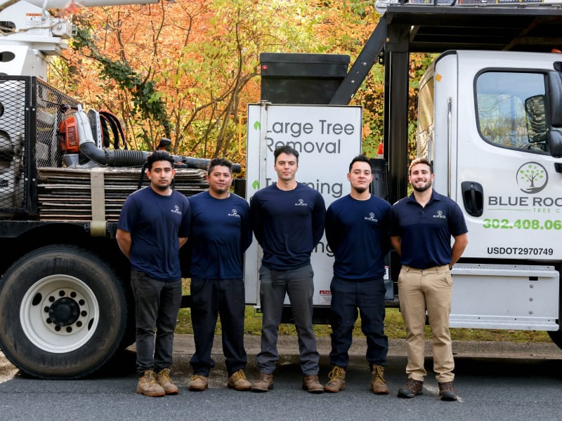 Nick Coppola, founder of Blue Rock Tree Care