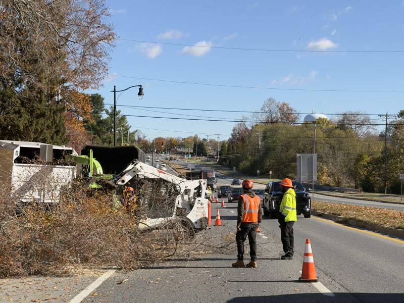 Crane-Assisted Hazardous Tree Removal on Busy Road - main view