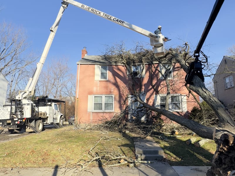 Emergency Tree Removal From Structure After Storm Damage - main view