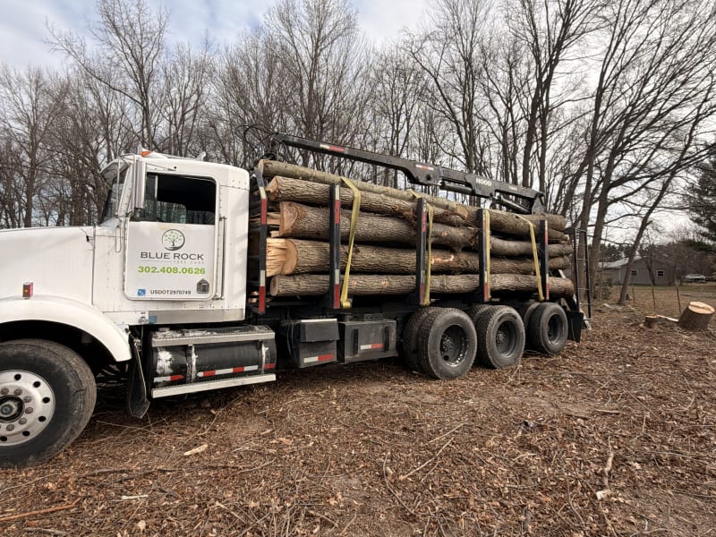Commercial lot clearing project in Delaware