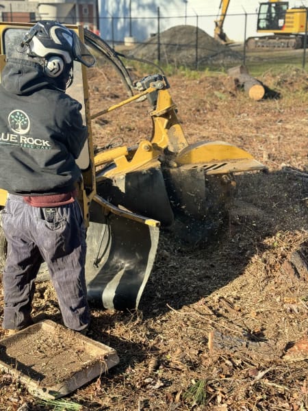 Large Stump Grinding Next to House With Property Protection - detail view