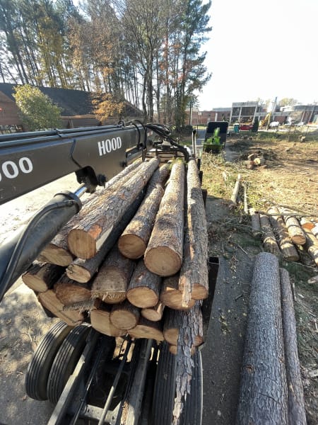 Commercial Land Clearing & Forestry Mulching for Development - detail view
