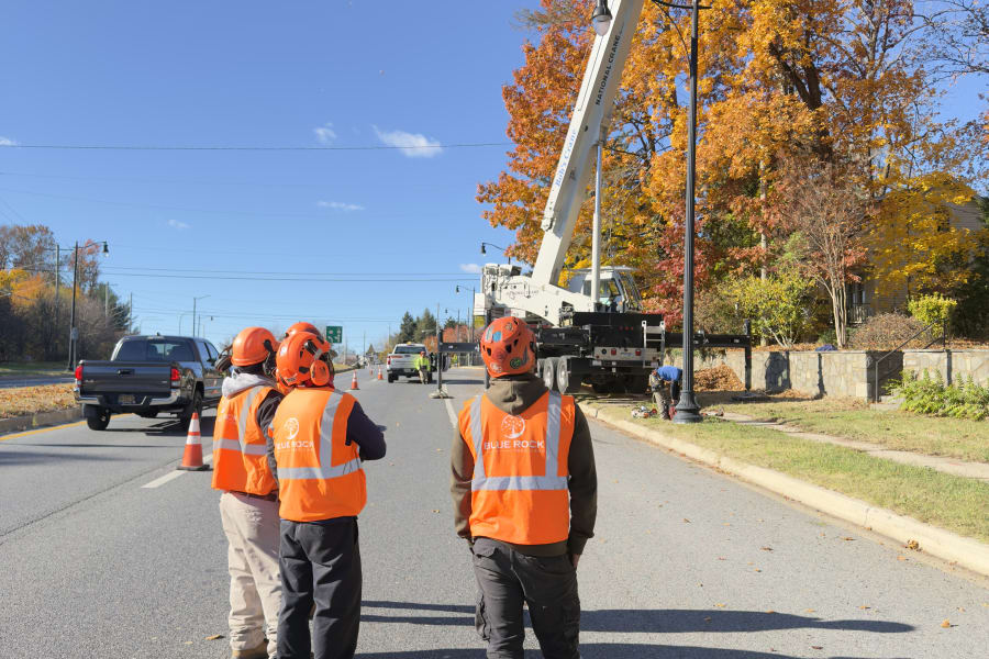 Storm Damage Cleanup service by Blue Rock Tree Care