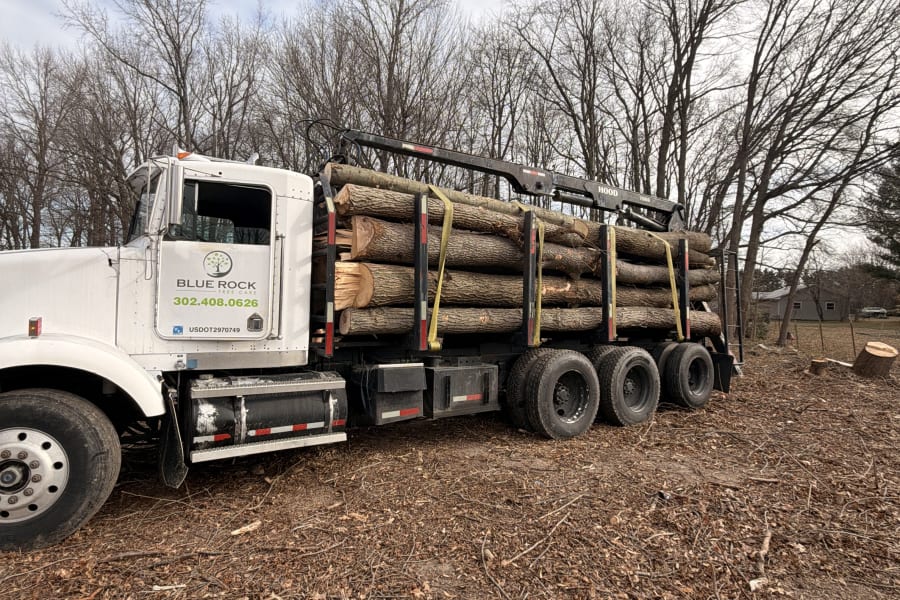Lot Clearing service by Blue Rock Tree Care