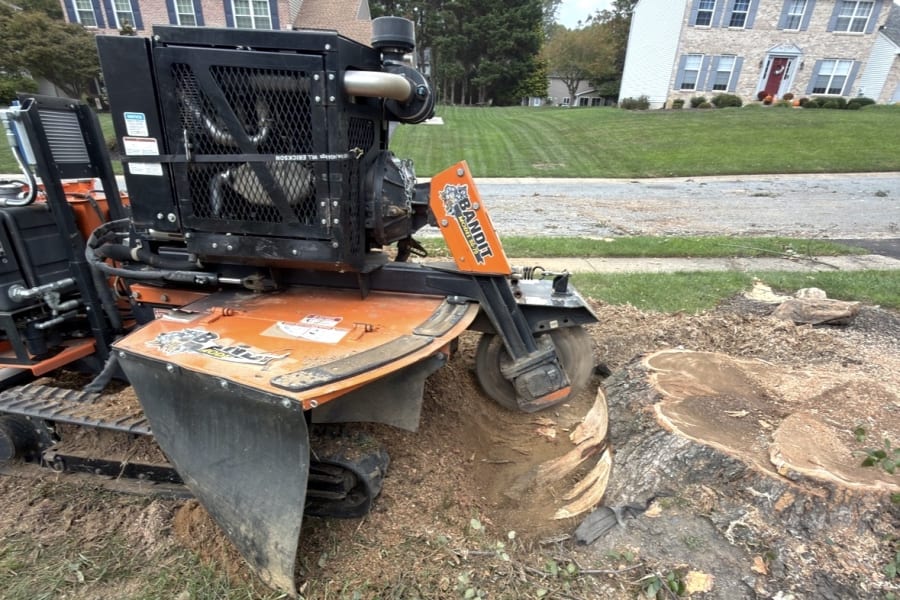 Stump Grinding service by Blue Rock Tree Care