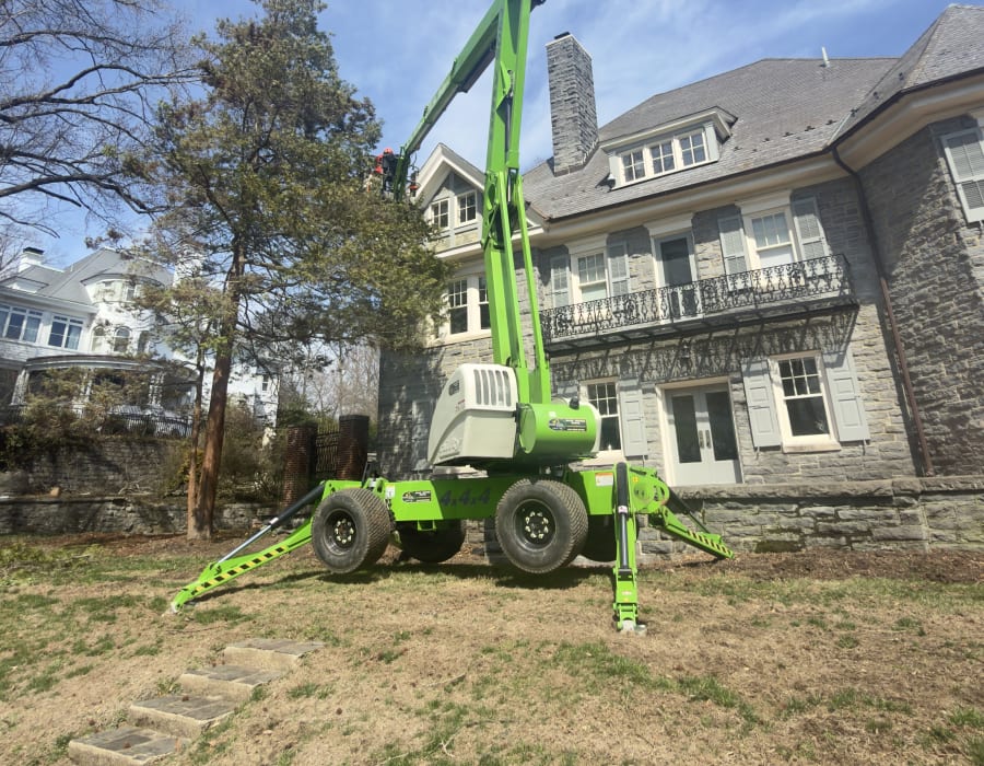 Blue Rock Tree Care spider lift working on a specimen estate tree in Hockessin, Delaware