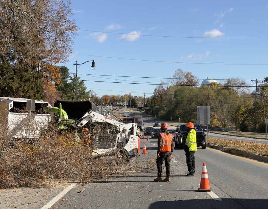 Crane-Assisted Hazardous Tree Removal on Busy Wilmington Road