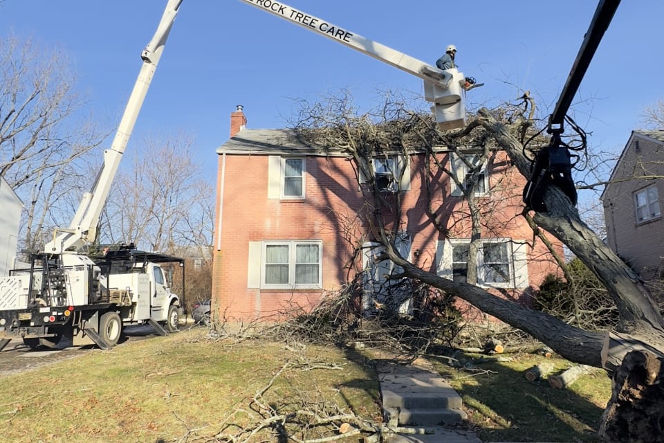Storm Damage Cleanup