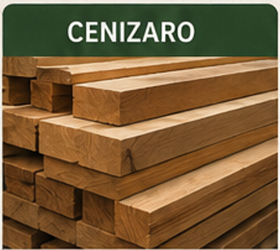 Cenizaro