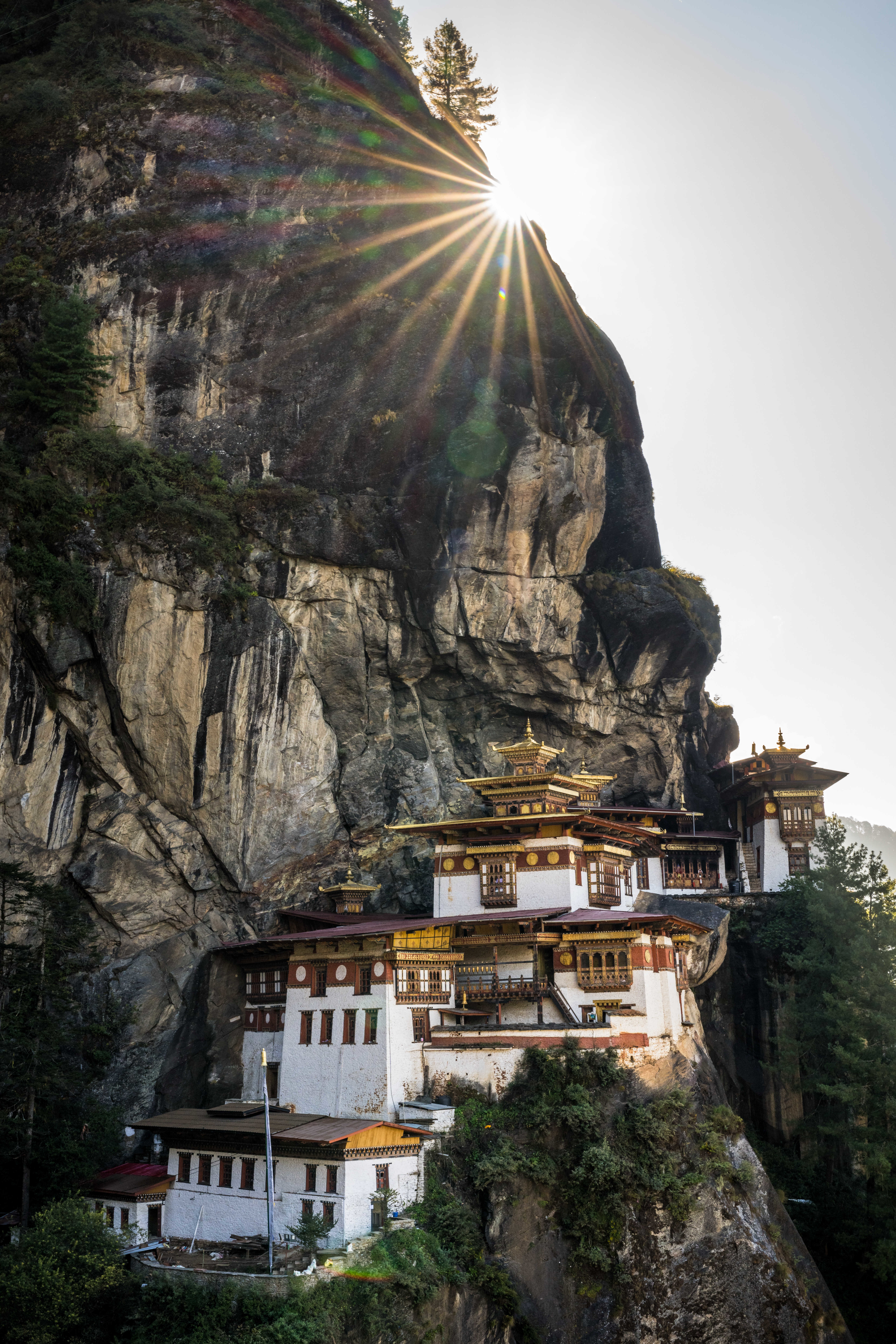 Picture of the author