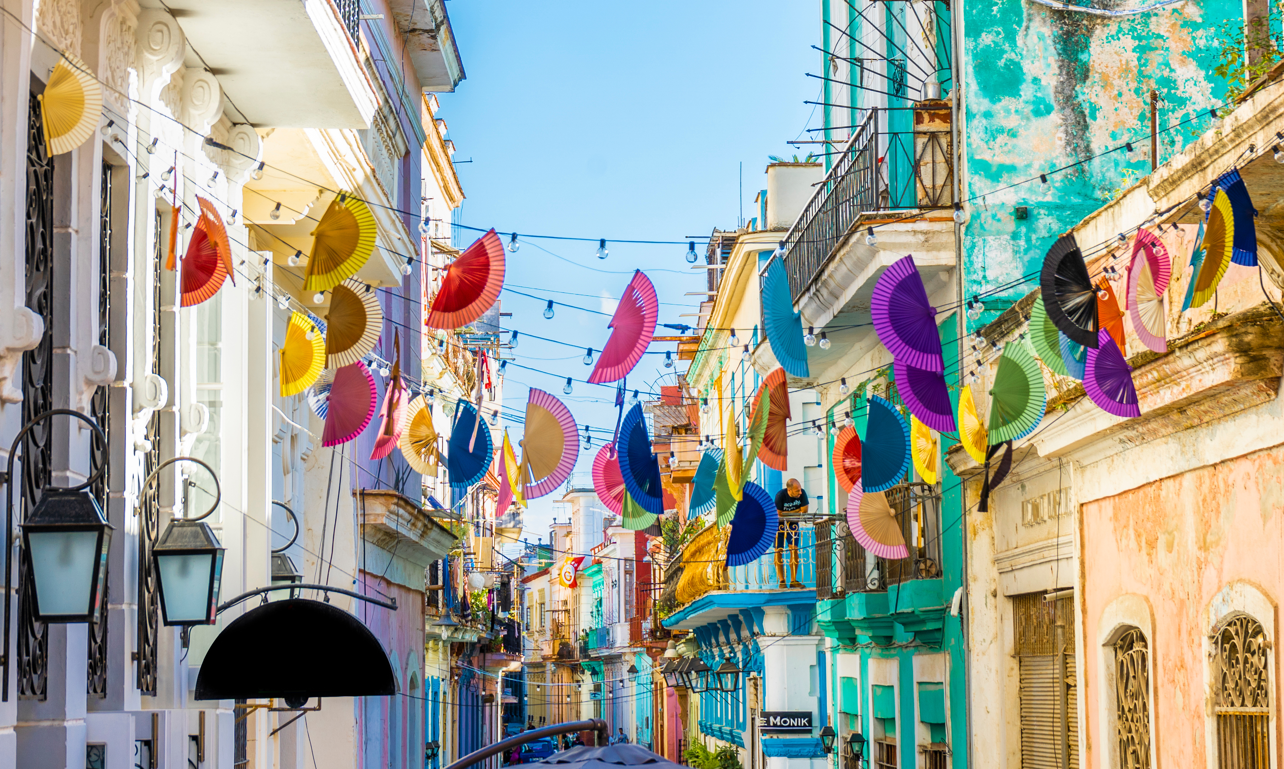 Picture of the author