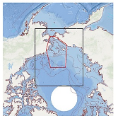 Sea ice type classification in the Chukchi sea using deep learning