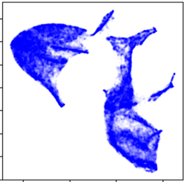 Exploring the Potential of Latent Embeddings for Sea Ice Characterization using ICESat-2 Data