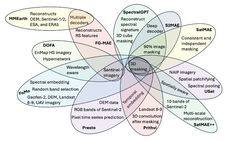 A Genealogy of Foundation Models in Remote Sensing