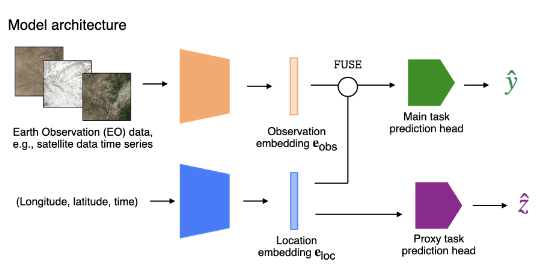 A Proxy Consistency Loss for Grounded Fusion of Earth Observation and Location Encoders