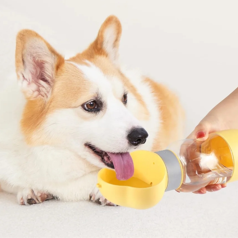 Termo Dispensador De Agua Mascotas