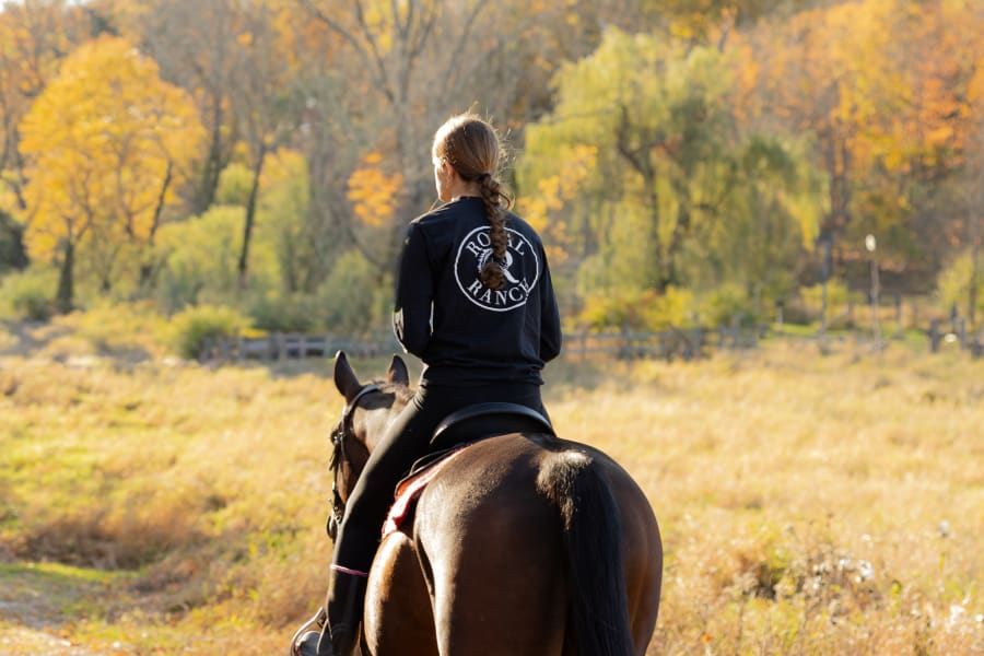 Royal Ranch Photo 5