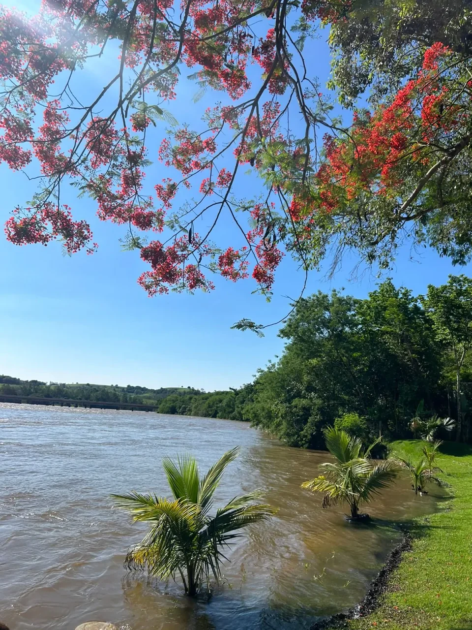 Chácara São Miguel em Jataizinho, PR - Capacidade para 70 pessoas - Com quartos, tv, sinuca - Imagem 14