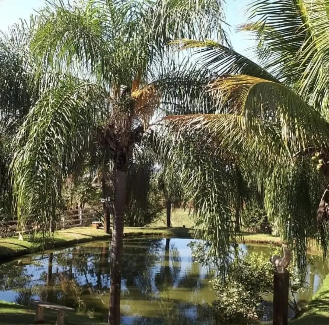 Chácara Recanto Boa Vista em Londrina, PR - Capacidade para 150 pessoas - Com estacionamento, piscina, banheiro_privativo - Imagem 3