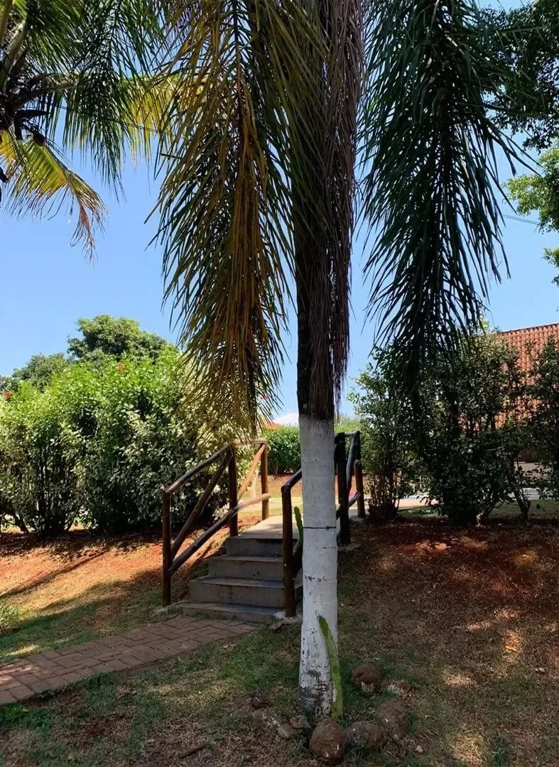 Chácara Recanto Boa Vista em Londrina, PR - Capacidade para 150 pessoas - Com estacionamento, piscina, banheiro_privativo - Imagem 9