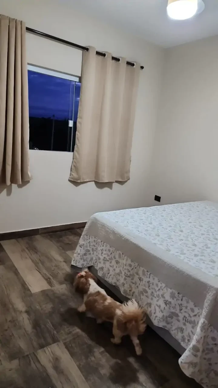 Recanto Mahallo em Londrina, PR - Capacidade para 100 pessoas - Com piscina, churrasqueira_coberta, quartos - Imagem 11