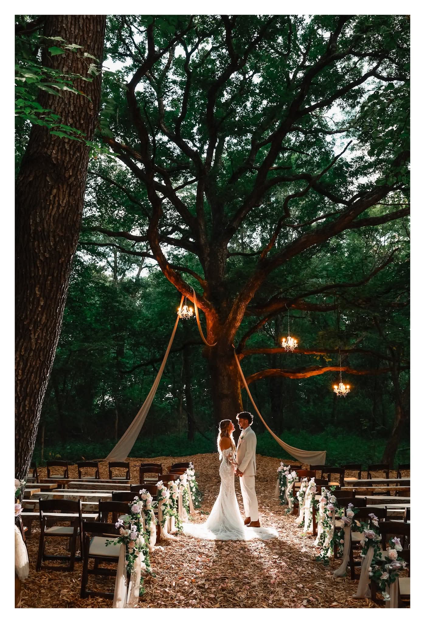 Weddings & Celebrations