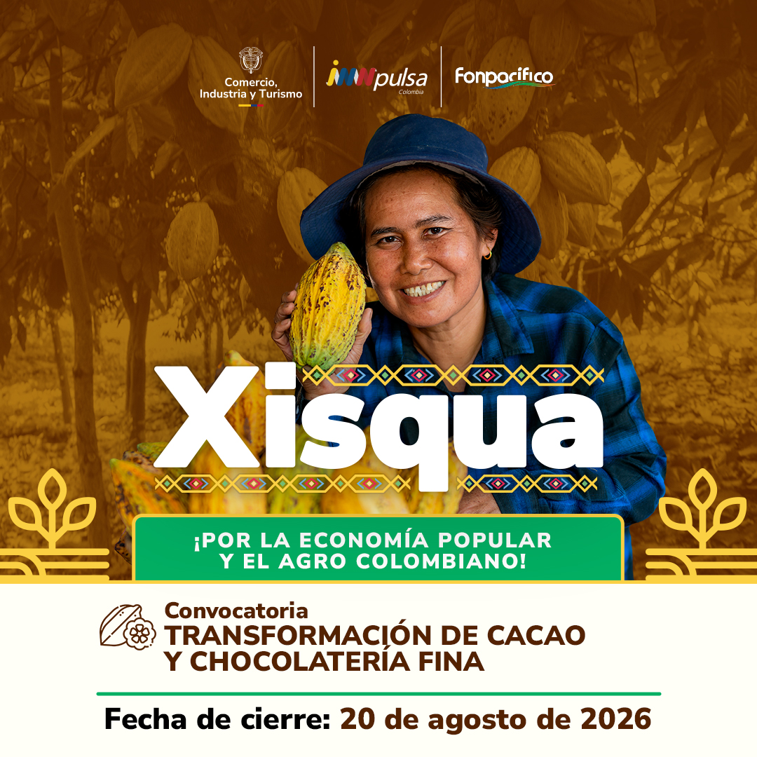 Transformación de cacao y chocolatería fina – Programa XISQUA