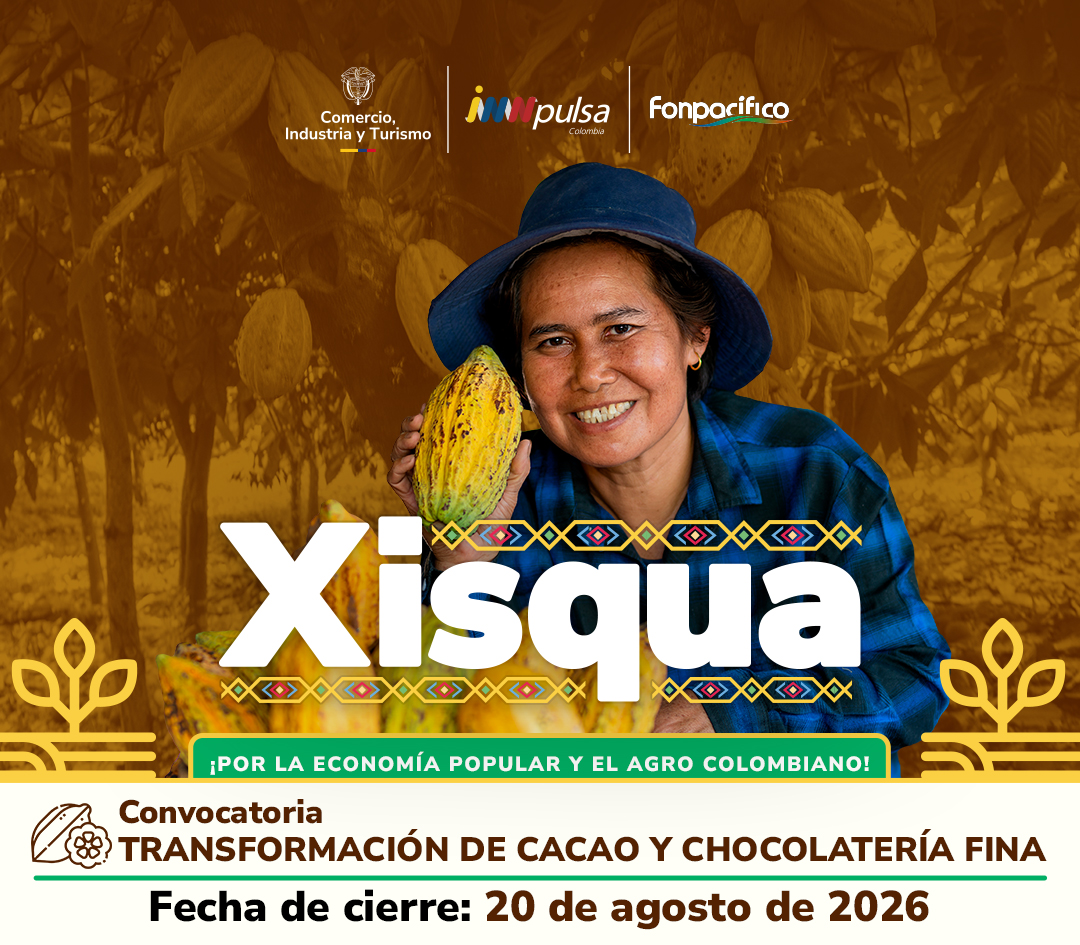 Transformación de cacao y chocolatería fina – Programa XISQUA