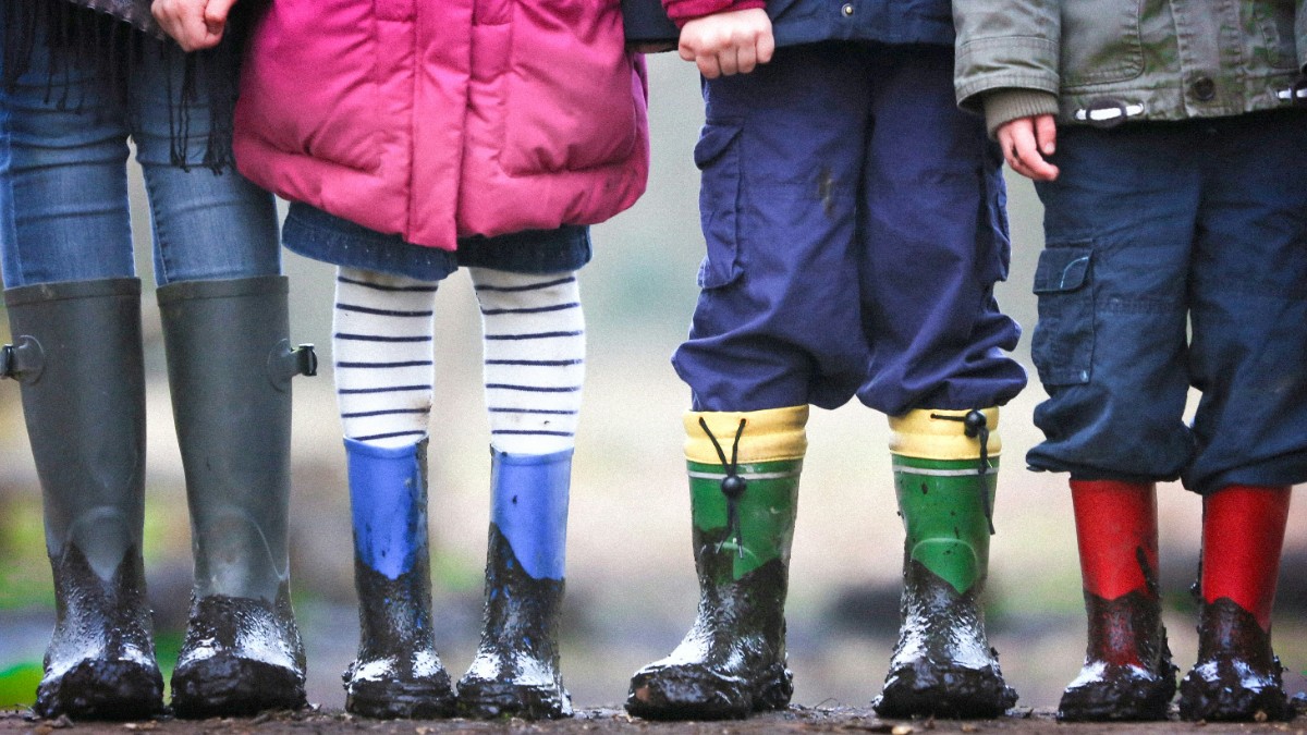 Header de Le Gazouilleur