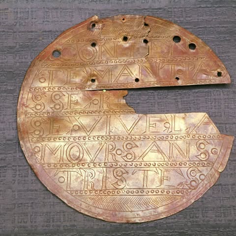 Logo de Musée des Vans