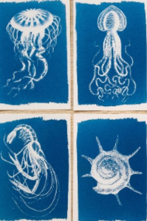 Atelier Crée ta créature imaginaire en cyanotype