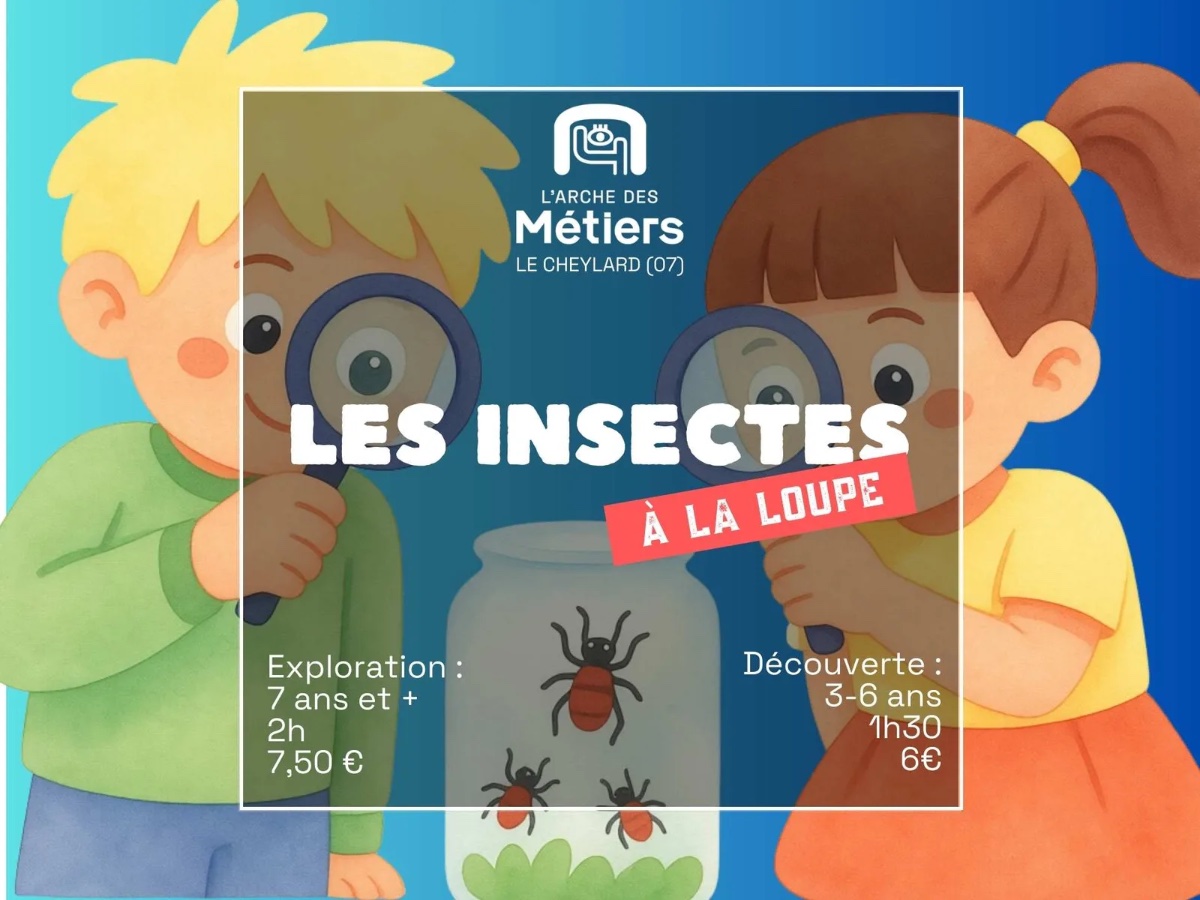 Les insectes à la loupe !