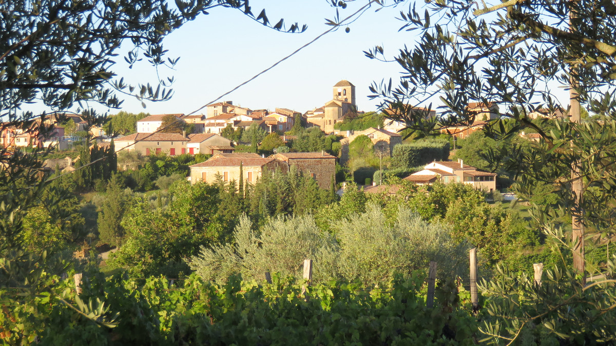 Header de Association Vinezac. Sauvegarder pour Transmettre