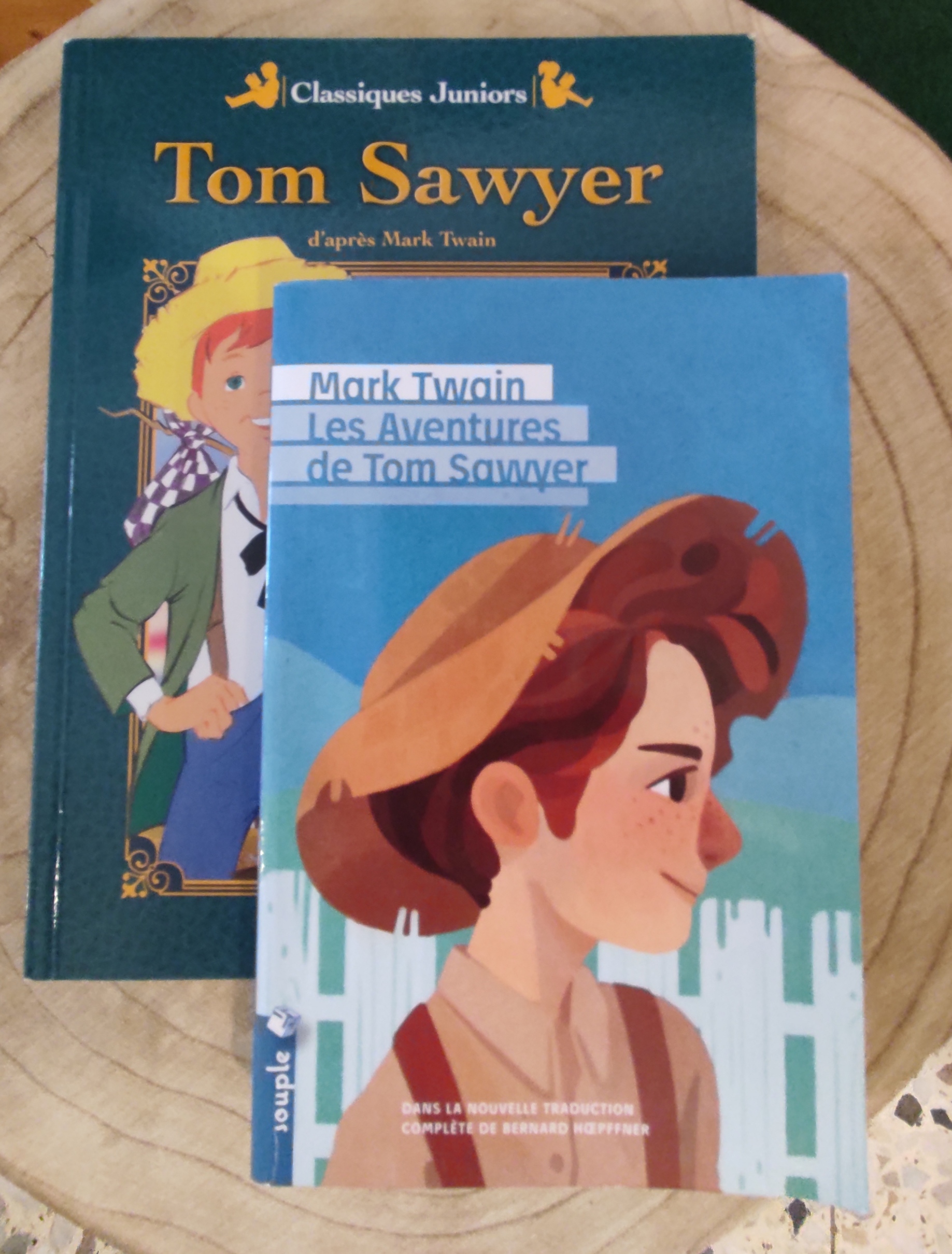 Les Aventures de Tom Sawyer