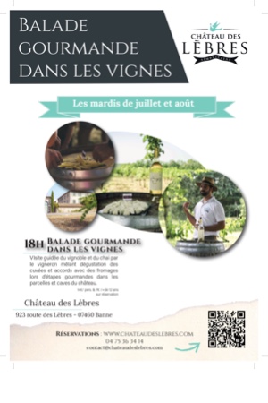 Balade Gourmande dans les vignes