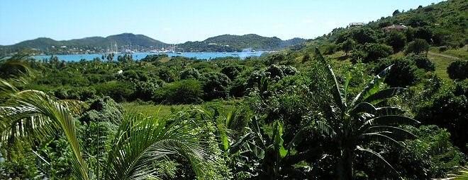231 headerimage1