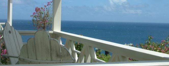 509 headerimage1