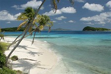 Caribbean Crews