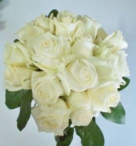 Flower World Ltd.