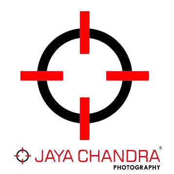 Jayachandra Photography