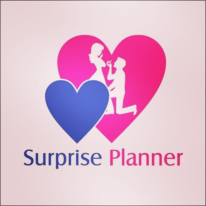 Surprise Planner Luxury Proposal Date Planner
