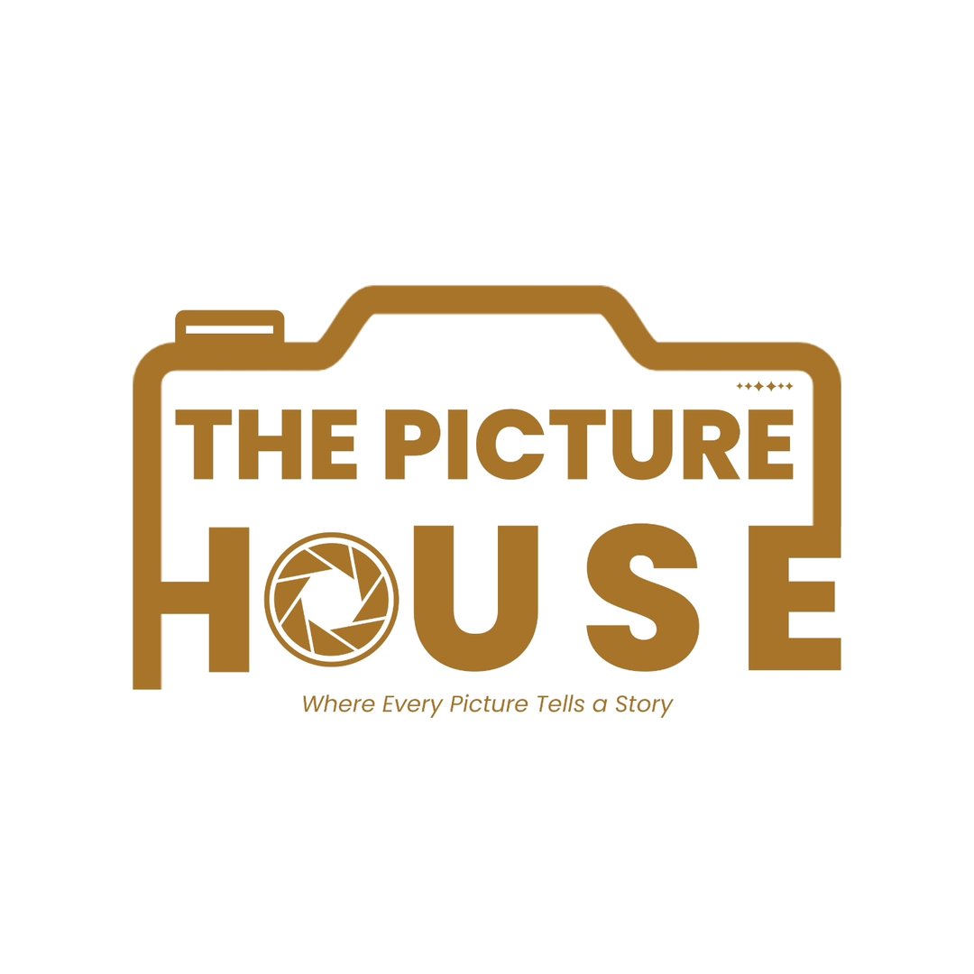 The Picture House By Harsh Soni
