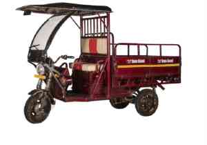 Top Team Machines E Cart Cargo