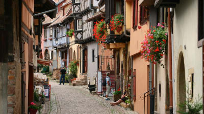 Alsace - oplevelser i grnselandet