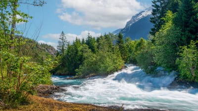 Sommer i Norge - rundrejse