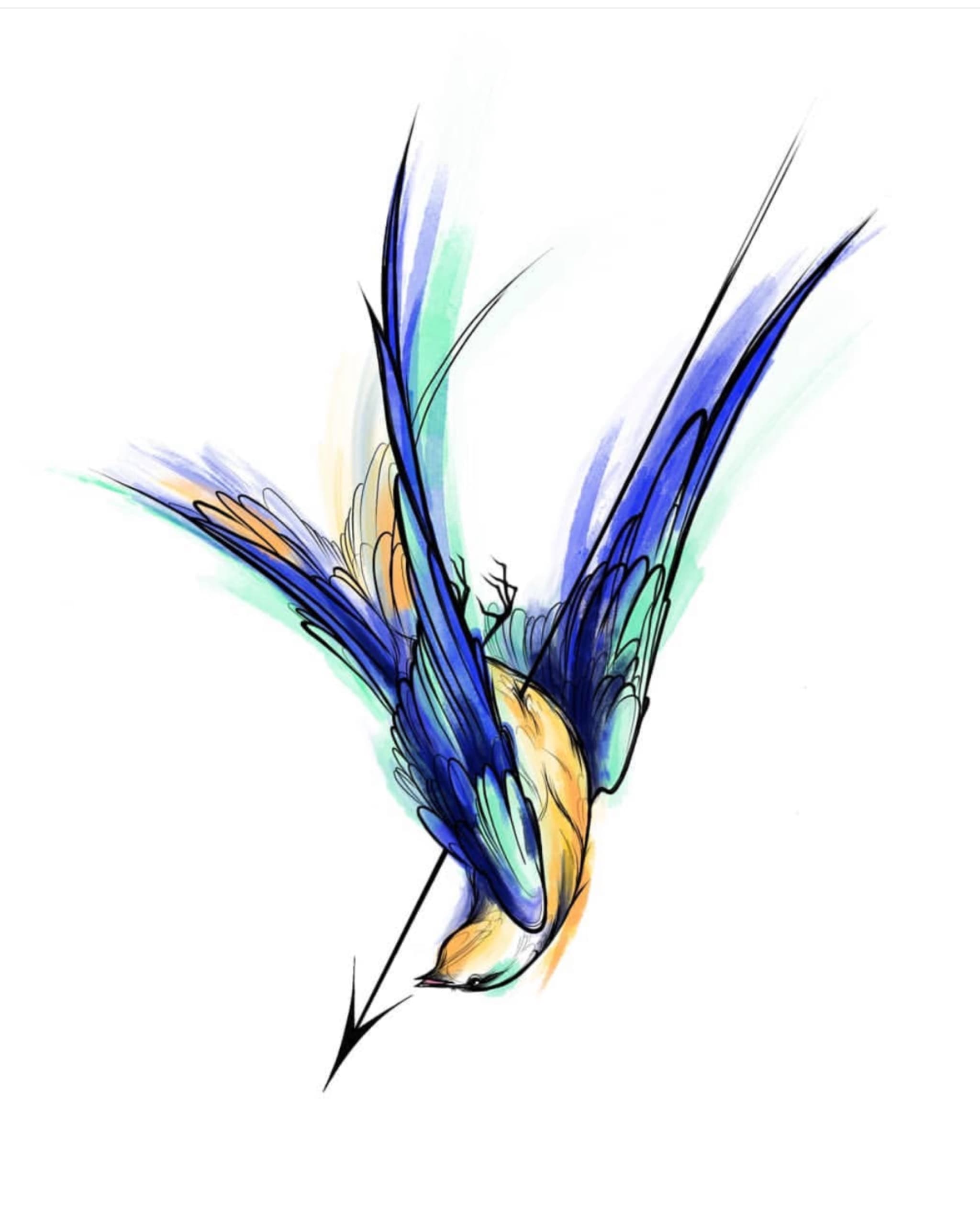 Bird