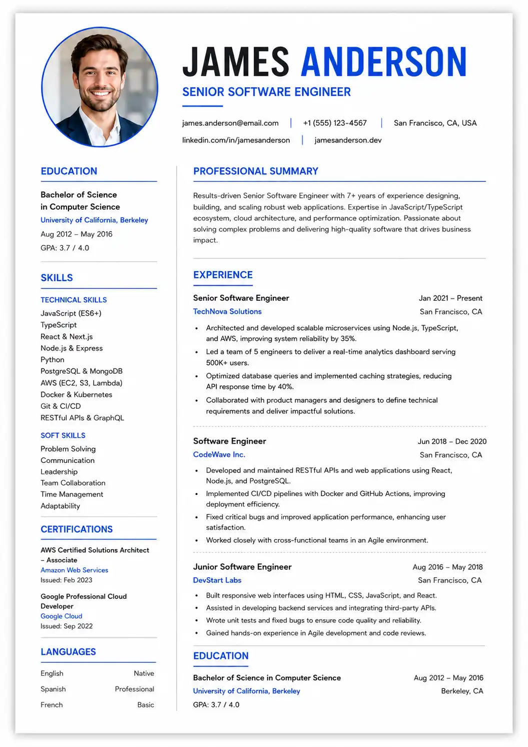 The Modern Professional Resume resume template preview