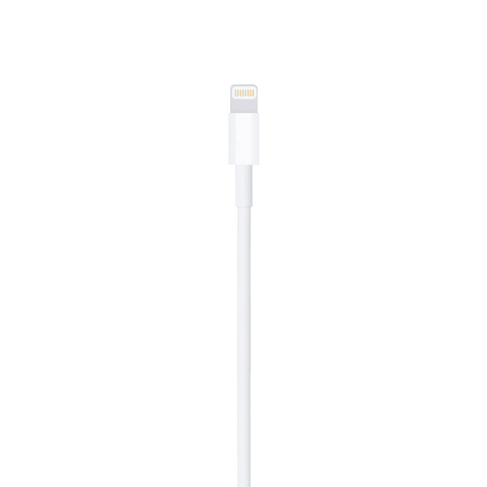 Artboard_Copy_49_mm4kbh (1).png